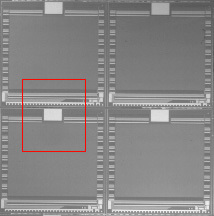 Real-World Image with Gamma Greater than Unity