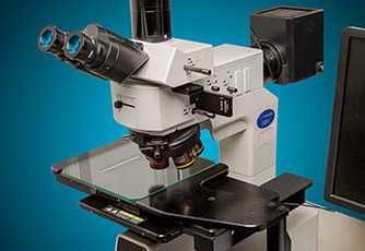 Differential Interference Contrast (DIC) Microscopy